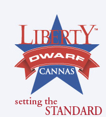 Liberty Dwarf Cannas